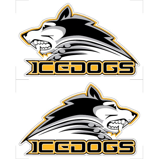 Embrun Casselman Ice Dogs Hockey Helmet Stickers