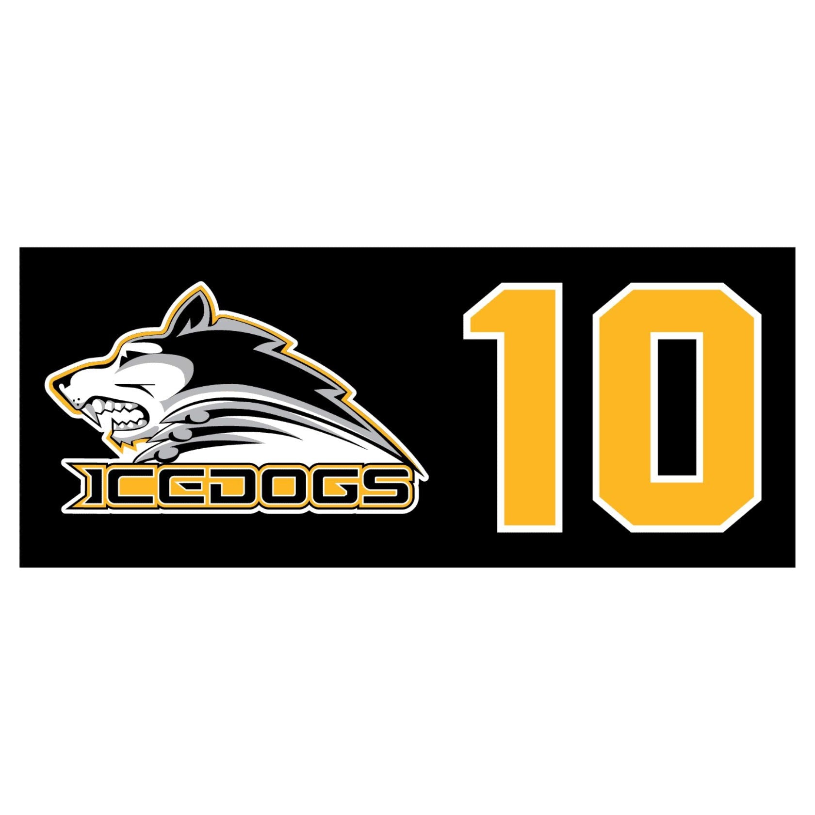 Embrun Casselman Ice Dogs Sweater Bag Name and Number